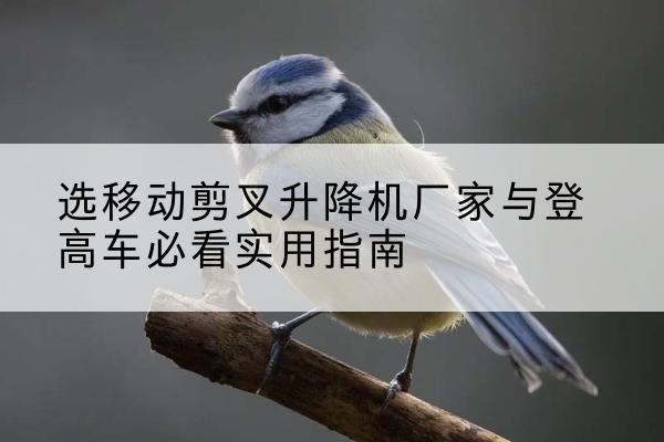 岐山电动升降机厂家-选移动剪叉升降机厂家与登高车必看实用指南