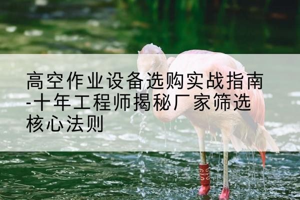 岐山剪叉式升降机厂家-高空作业设备选购实战指南-十年工程师揭秘厂家筛选核心法则