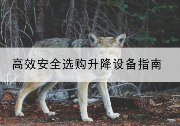 岐山升降货梯厂家推荐-*安全选购升降设备指南