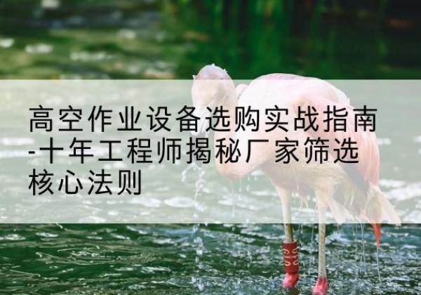 岐山剪叉式升降机厂家-高空作业设备选购实战指南-十年工程师揭秘厂家筛选核心法则